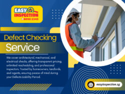 Defect Checking Services