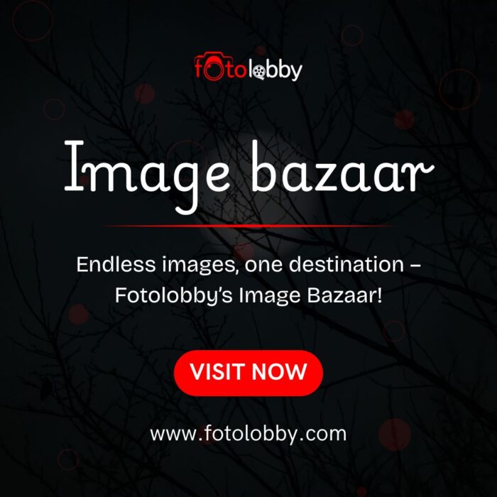 Image bazaar