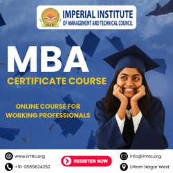 Top Online MBA Programs
