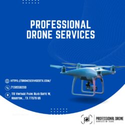 Professional Drone Services