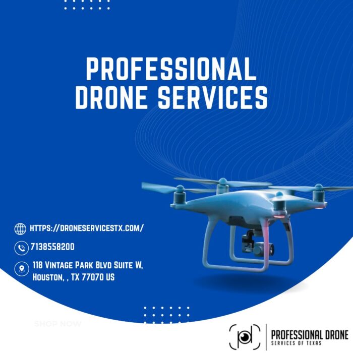 Professional Drone Services