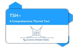 TSH Blood Test Price