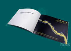 Professional Online Booklet Printing Services in the USA