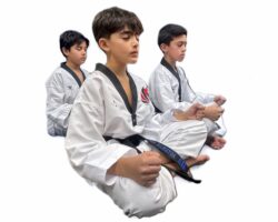 Build Confidence and Strength with Martial Arts in Burlington at Dragon Taekwondo Academy
