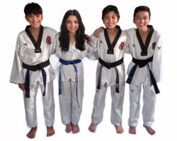 Empower Your Child with Expert Training at Milton Taekwondo Martial Arts – Dragon Taekwondo Academy