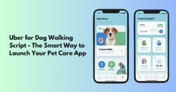 Uber for Dog Walking Script: The Smart Way to Launch Your Pet Care App