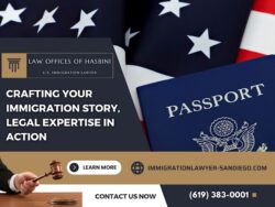 Trusted Immigration Help In San Diego And Chula Vista