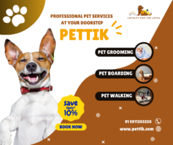 Complete Pet Care Services in Delhi & Noida