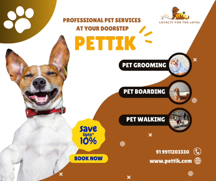 Complete Pet Care Services in Delhi & Noida
