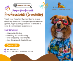 Complete Pet Care Services in Delhi & Noida