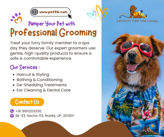 Complete Pet Care Services in Delhi & Noida