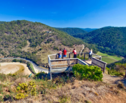 Discover the Beauty of Teddy’s Lookout: A Jewel of the Great Ocean Road