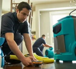 Basement Water Damage Restoration: Why You Need Professionals