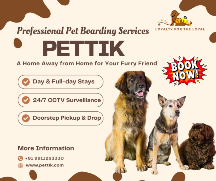Pet Boarding Services | Safe & Comfortable Stays for Pets