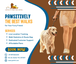 Pettik Dog Walking Service | Professional Dog Walkers