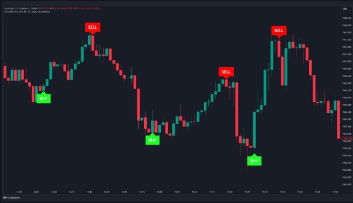 Algorithmic Trading Indicator
