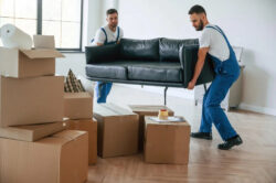 How to Handle Last-Minute House Removal Challenges