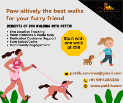 Proffesional Dog walking in Delhi