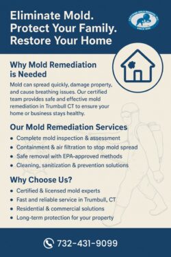 Trusted Mold Remediation in Trumbull CT