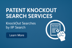 Patent Knockout Search Services | KnockOut Searches by IIP Search
