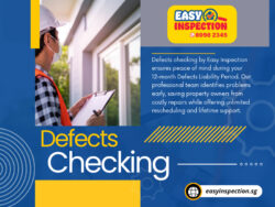 Defects Checking
