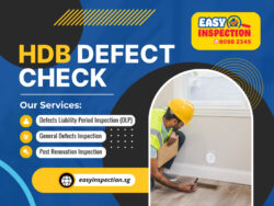 HDB Defect Check