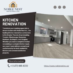 Kitchen Renovation