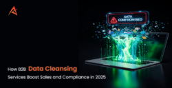 What Makes B2B Data Cleansing Services Critical for 2025 Compliance Goals?