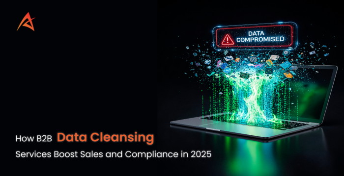 What Makes B2B Data Cleansing Services Critical for 2025 Compliance Goals?
