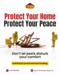 Pest Control Services to Protect Homes and Businesses
