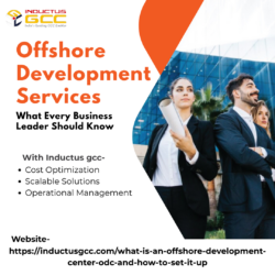 What Every Business Leader Should Know About Offshore Development Services