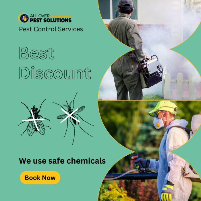 Top Pest Control Services Melbourne You Can Trust