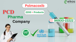 PCD Pharma Franchise Near Karnal, Haryana
