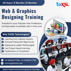 Web & Graphics Designing Training at ToXSL