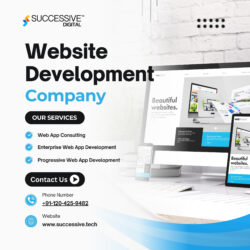 Custom Web App Development Services by Successive Digital