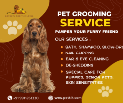Pet Grooming Service Delhi