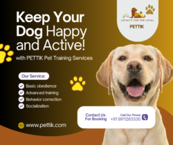 Pettik: Your Trusted Pet Care Partner in Delhi 🐾