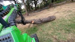 Tree Removal Mulgrave