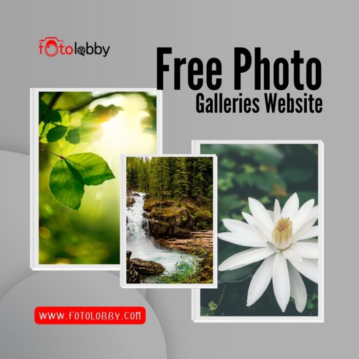 Free Photo Galleries Website