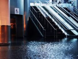 How Does the Water Damage Restoration Process Work?