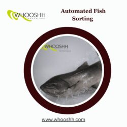 Automated Fish Sorting