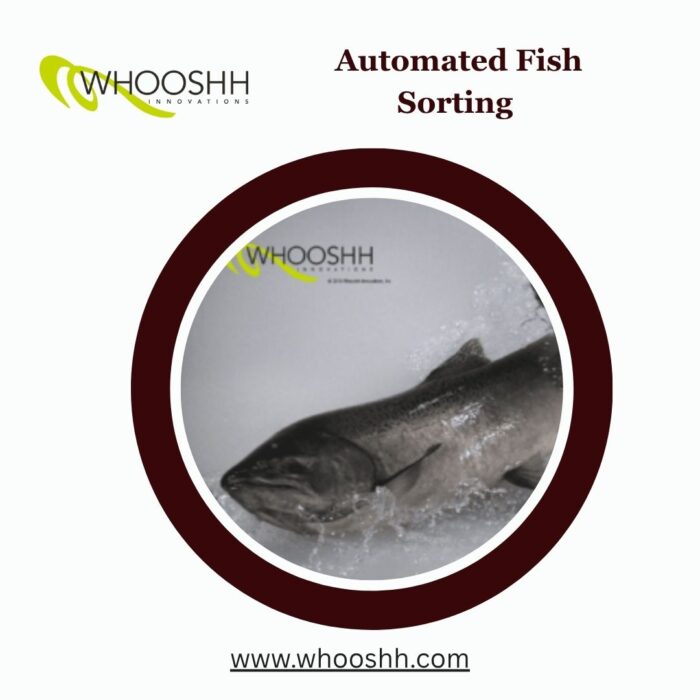 Automated Fish Sorting