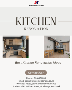 Best Kitchen Renovation Ideas