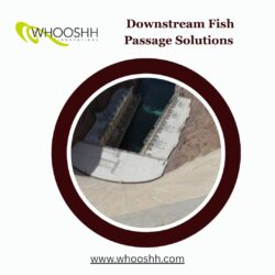 Downstream Fish Passage Solutions