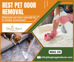 Effective Pet Odor Removal Service