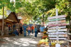 Events in Hiawassee Georgia