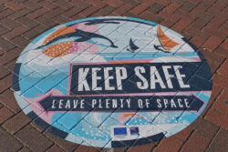 Transform Your Brand Visibility with Stunning Vinyl Signs in Tampa