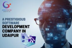 A Prestigious Software Development Company in Udaipur