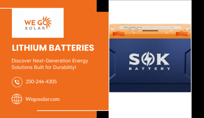 High Performance Portable Power Systems