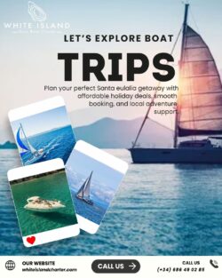 Let’s Explore Boat Trips | White Island Charter